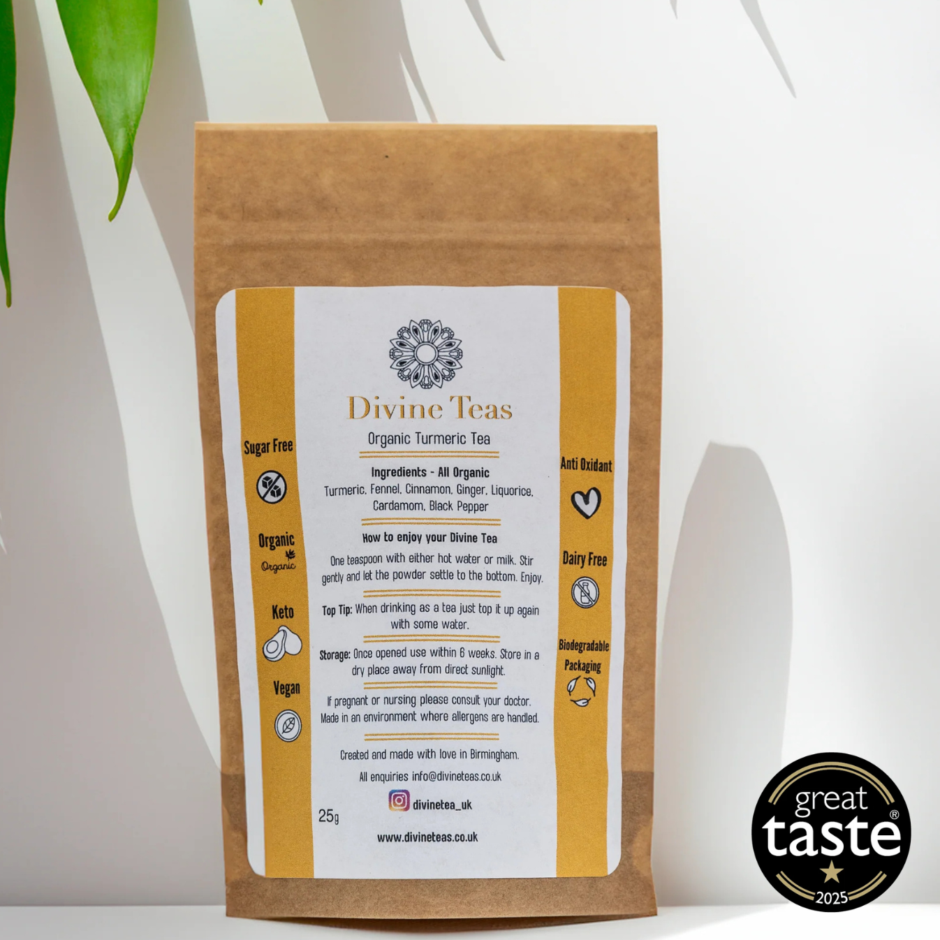 Anti-Inflammatory Organic Turmeric Tea Wellness Pouch