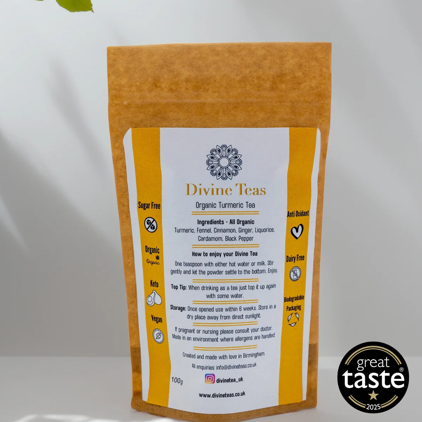 Anti-Inflammatory Organic Turmeric Tea Wellness Pouch