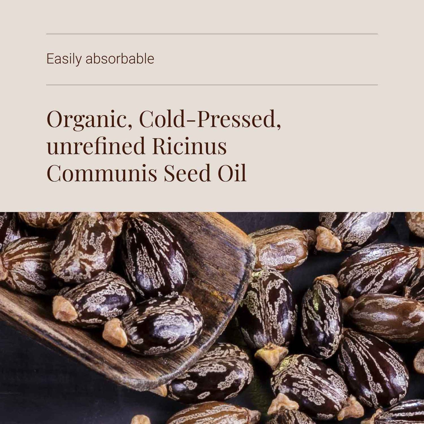 Castor Oil - ingredients
