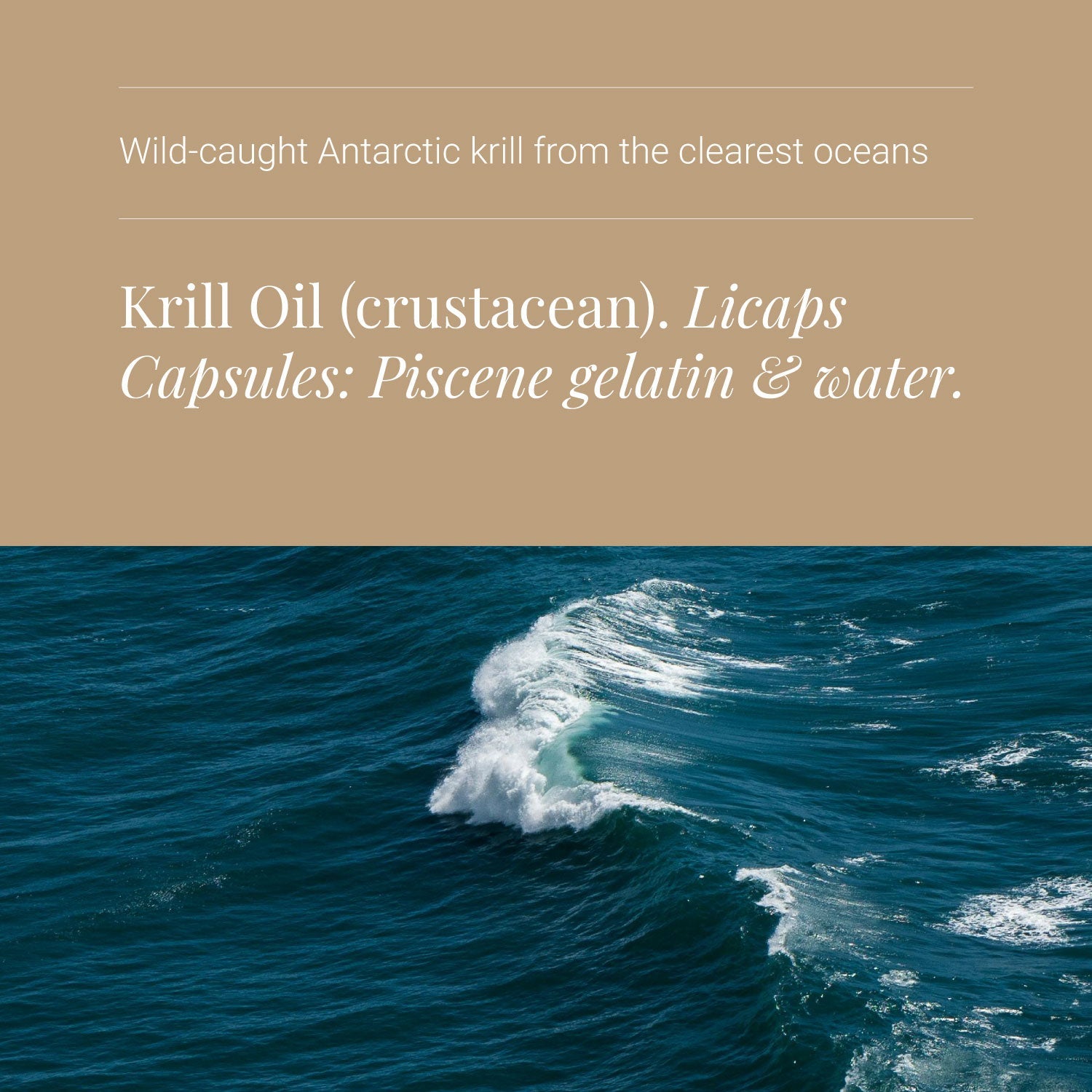 Krill Oil - ingredients