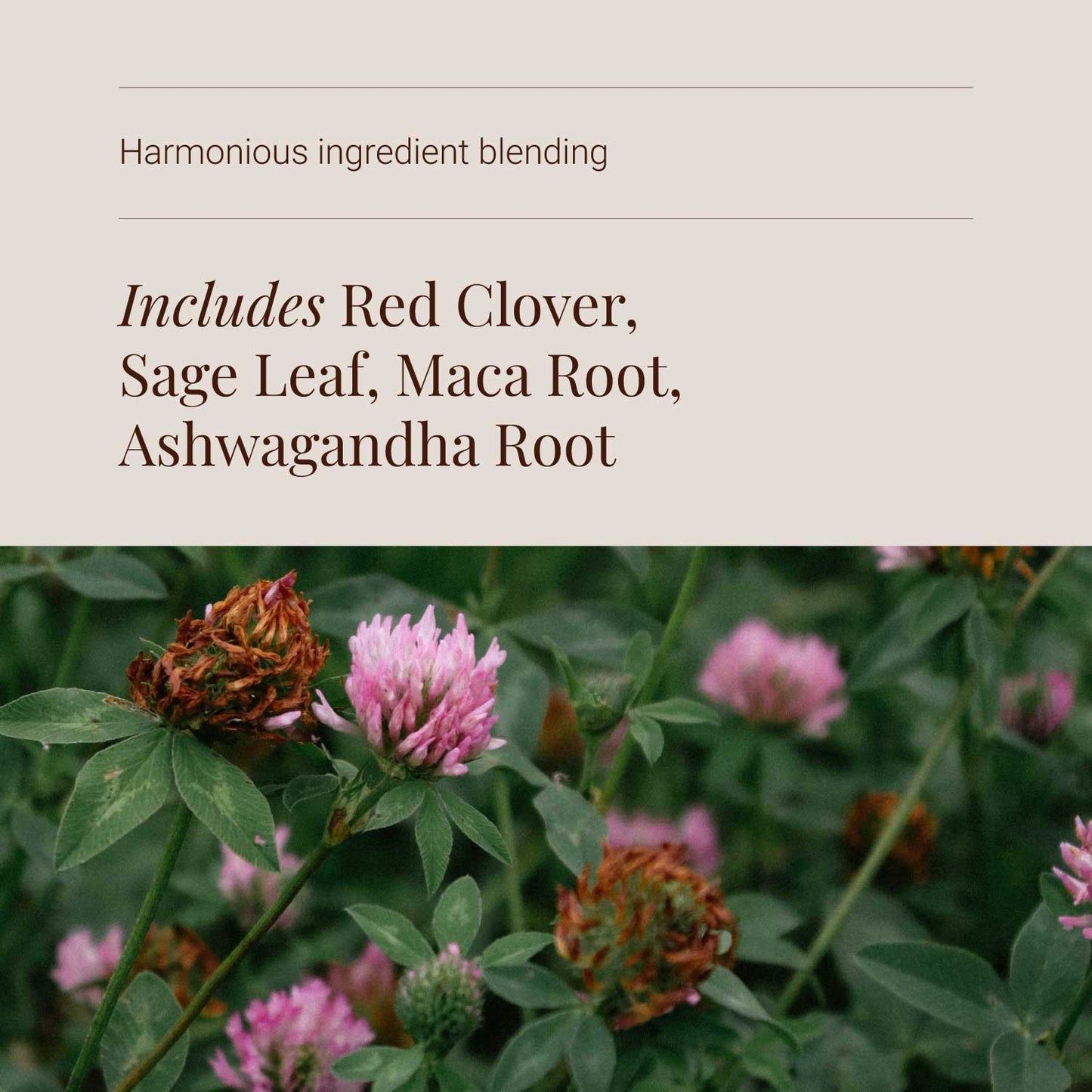Menopause Support - ingredients