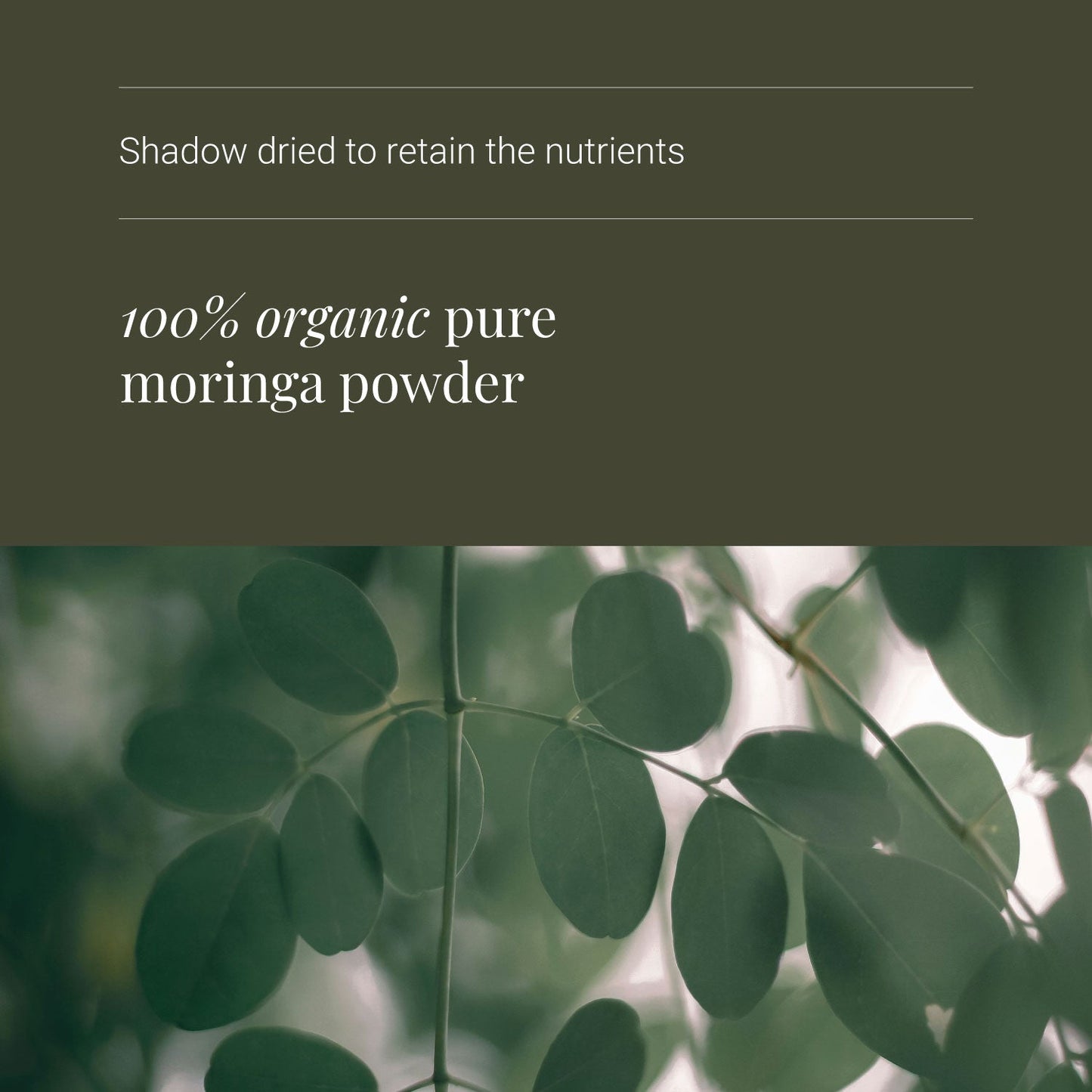 Moringa Leaf Powder - ingredients