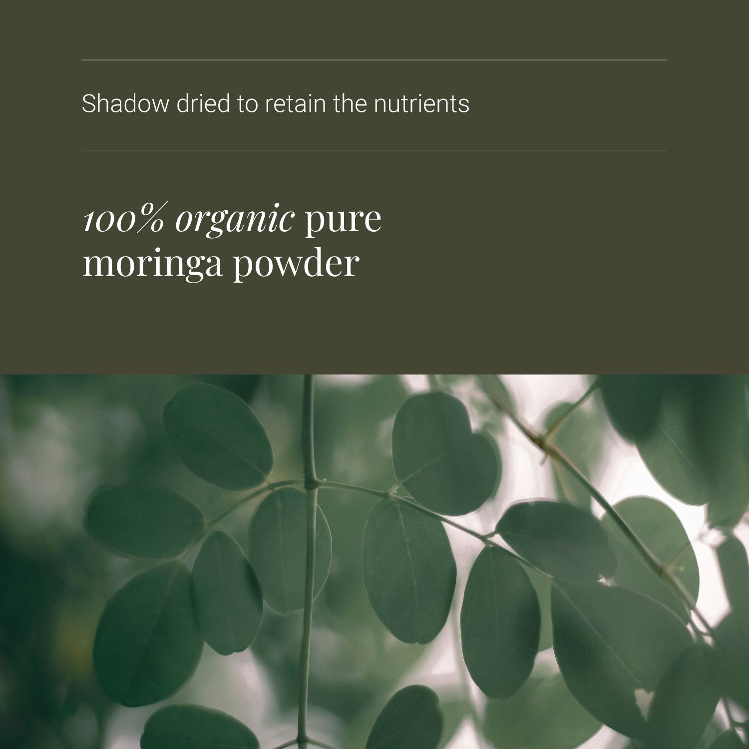 Moringa Leaf Powder - ingredients