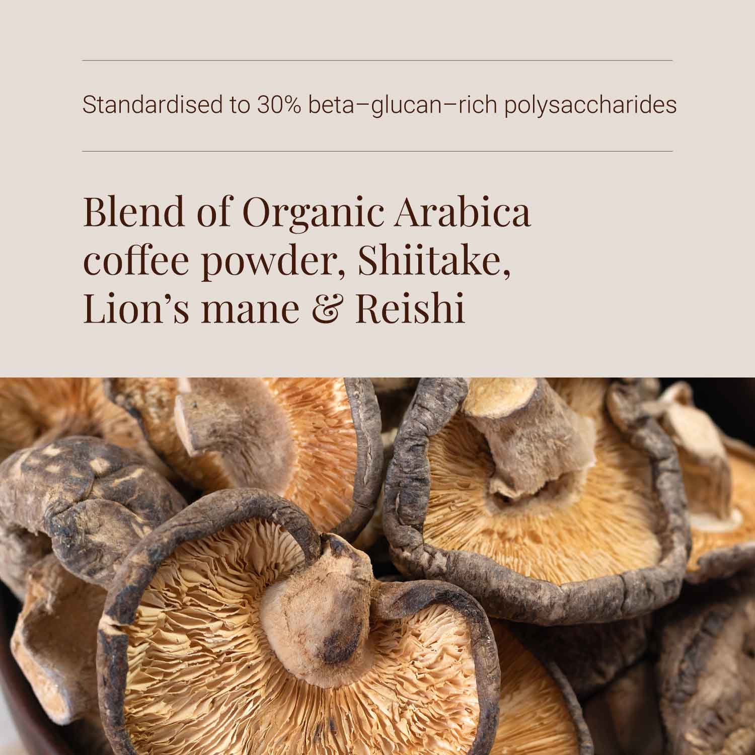 Mushroom Coffee - ingredients