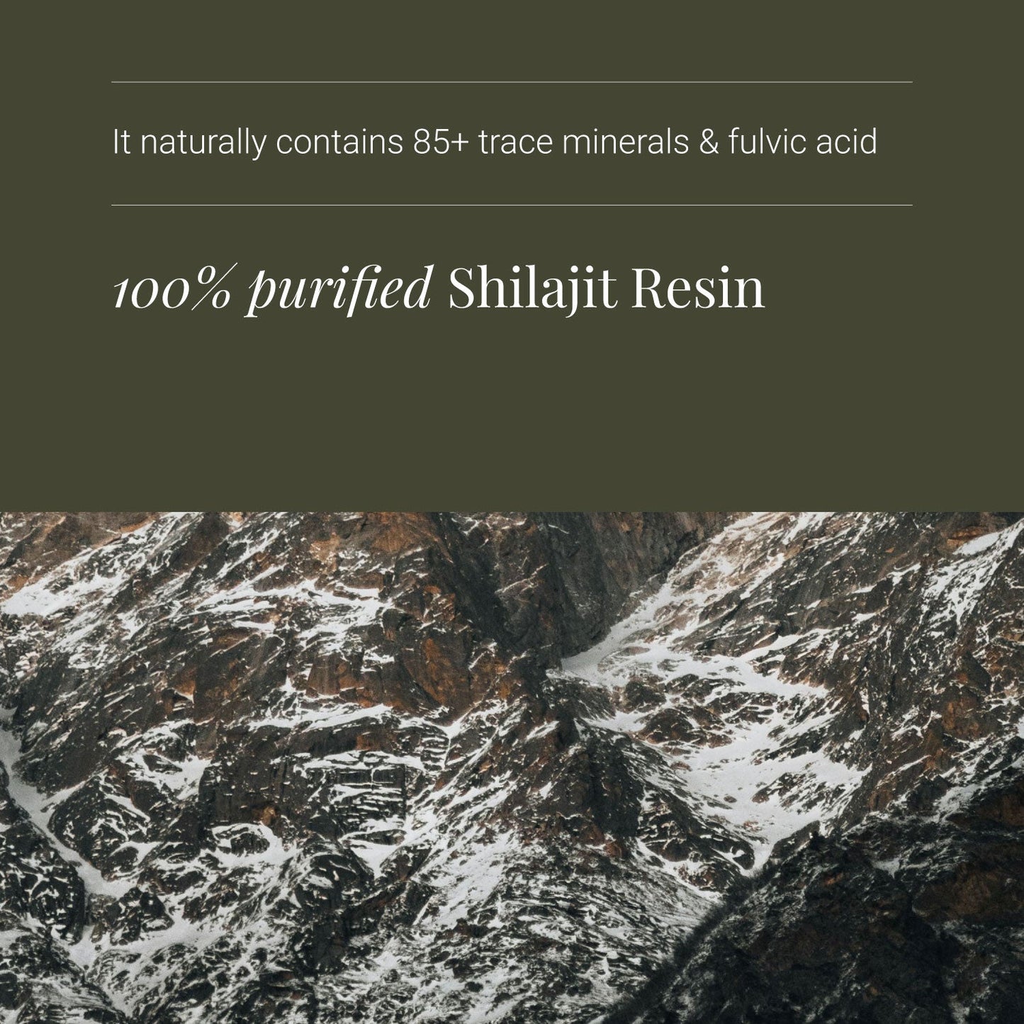 Himalayan Shilajit Resin - ingredients